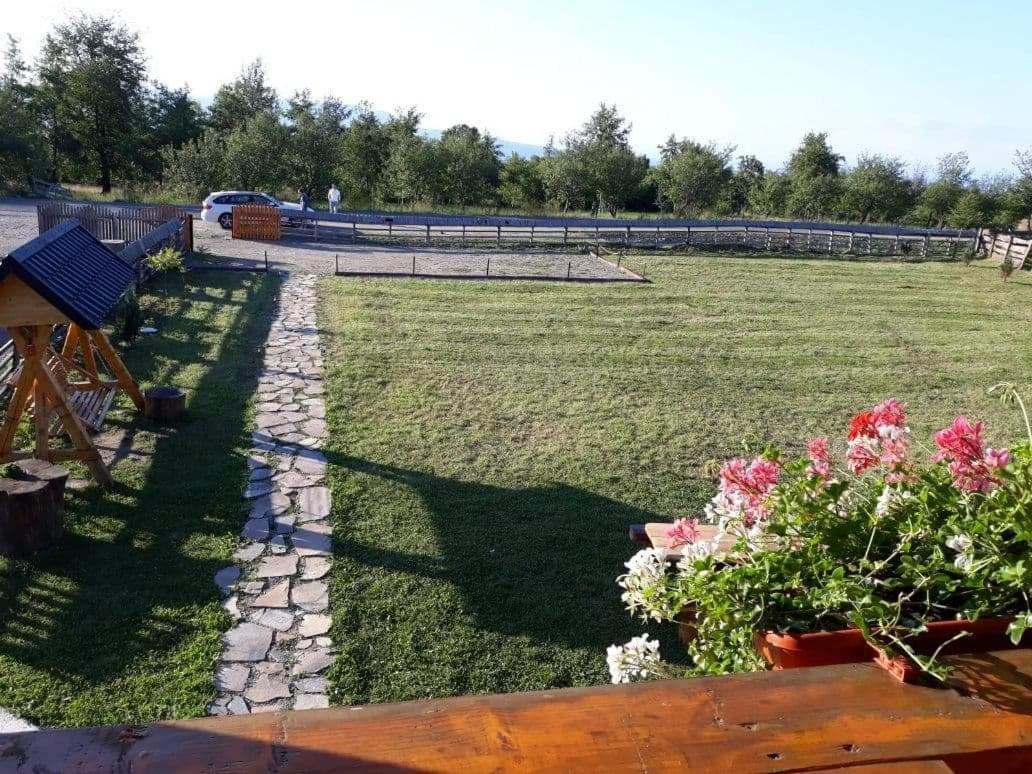 Willa Casa Cupcea Budeşti Zewnętrze zdjęcie